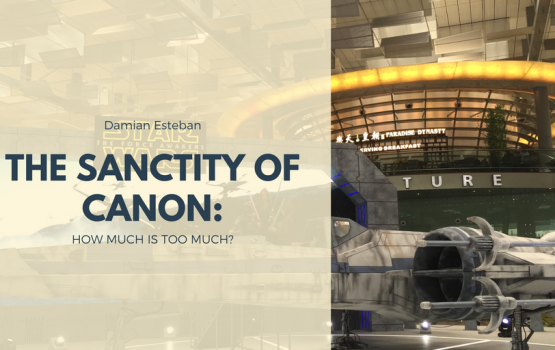 Damian Esteban—The Sanctity of Canon